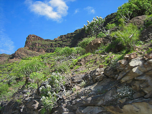 Foto Berge - Gran Canaria