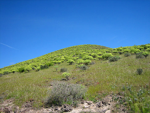 Landschaft Foto 