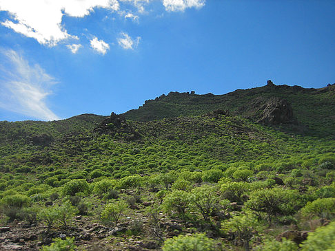 Fotos Landschaft | Gran Canaria