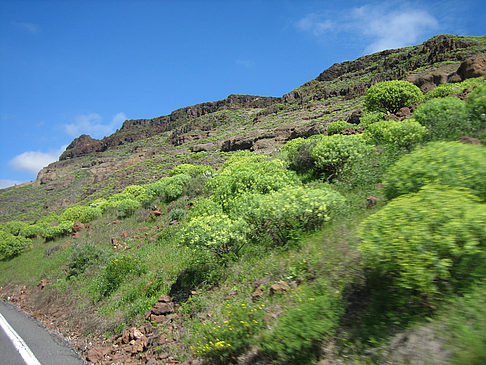 Fotos Straße