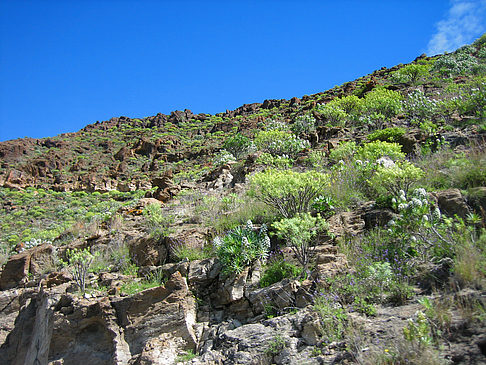Berge - Gran Canaria