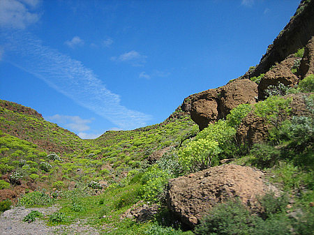 Berge Foto 