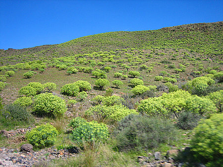 Fotos Landschaft