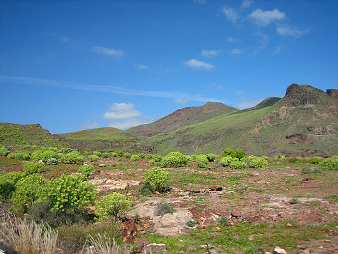 Landschaft