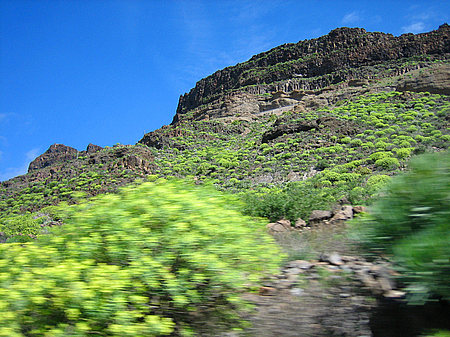 Foto Landschaft