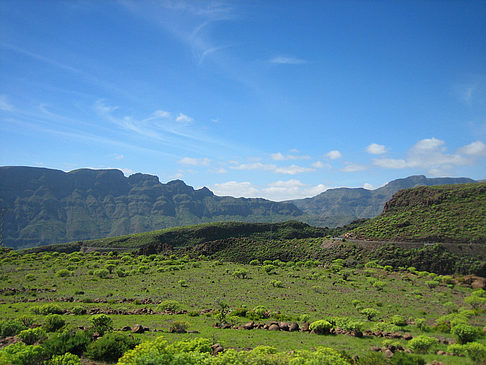 Landschaft
