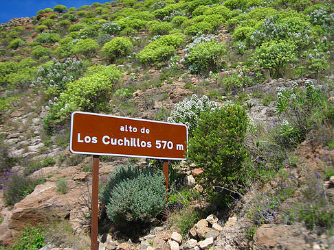 Schild Fotos