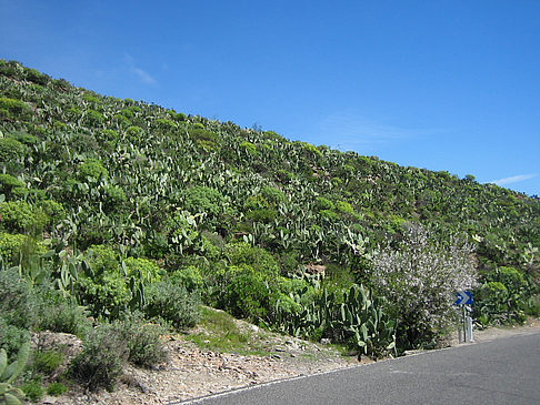 Straße Fotos